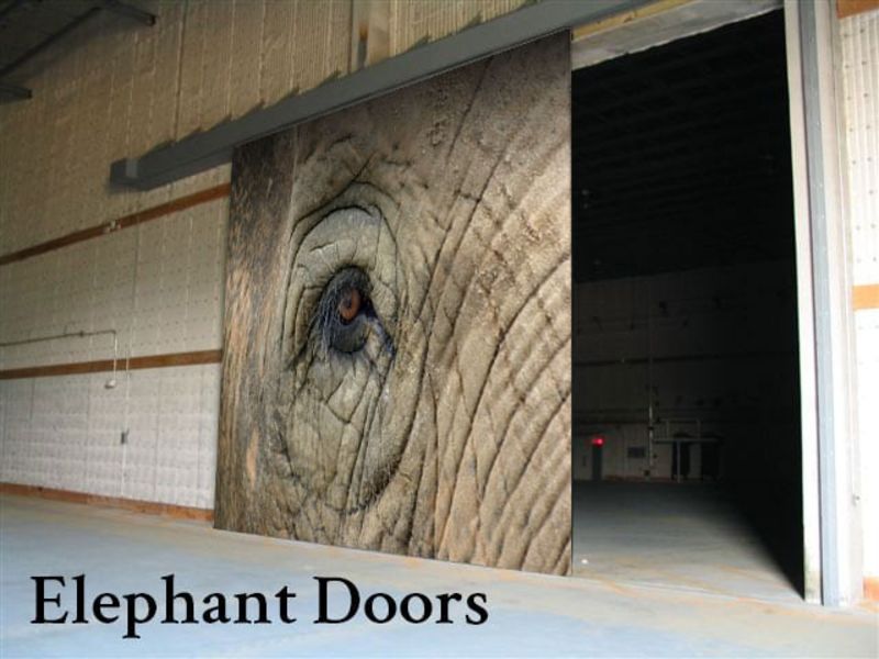 Elephant Doors