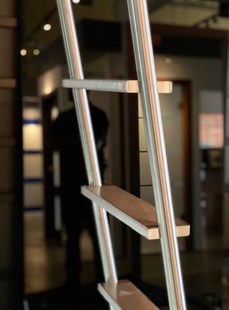 Rebel Library Ladder