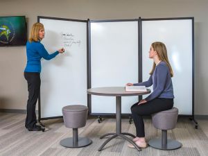 Screenflex Whiteboard